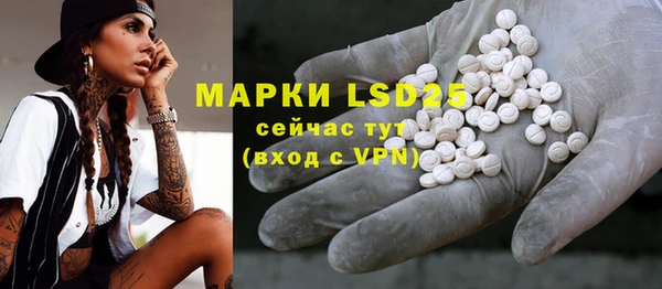 хмурый Алзамай