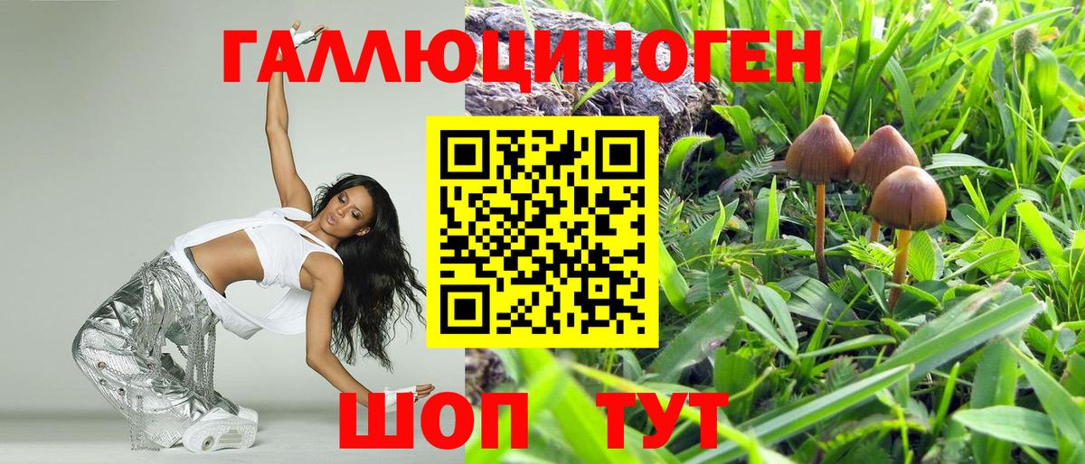 Псилоцибиновые грибы Psilocybe Десногорск
