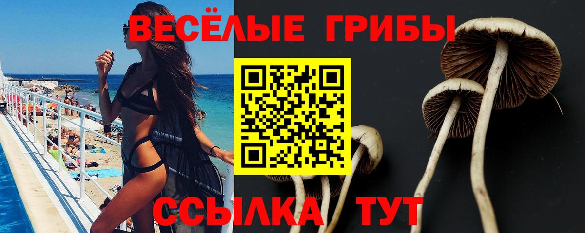 Десногорск  Галлюциногенные грибы Cubensis  Вход с VPN 